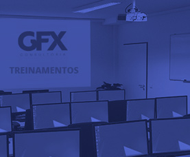 Treinamentos Internos GFX Consultoria